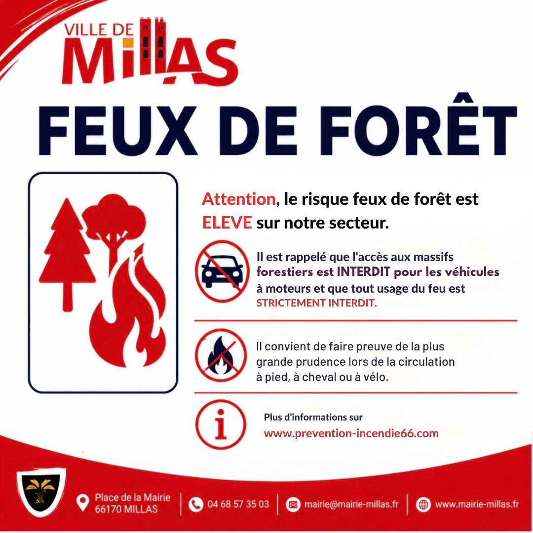 feux de foret